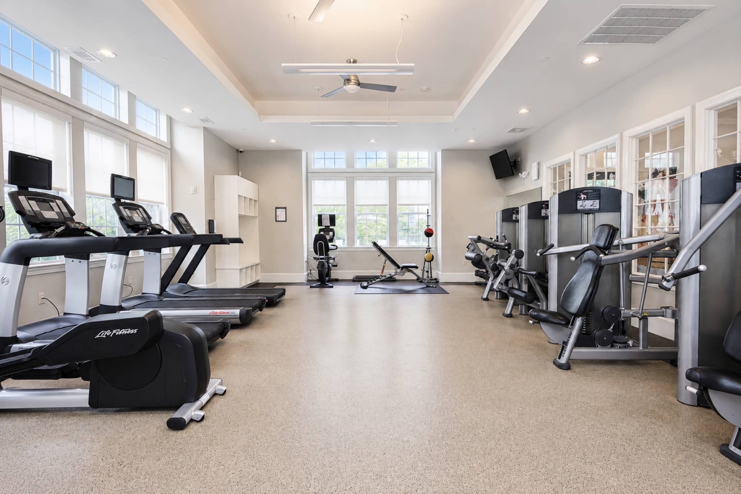 Cardio row in the White Oaks fitness center, daylight from three walls of windows